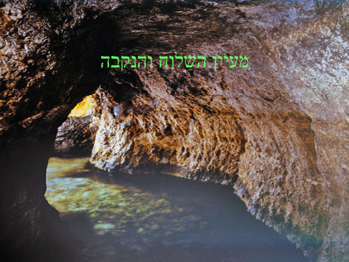 מעיין השלוח והנקבה by nofey hahoresh - Illustrated by אופק, ליאל, ליה ופול - Ourboox.com