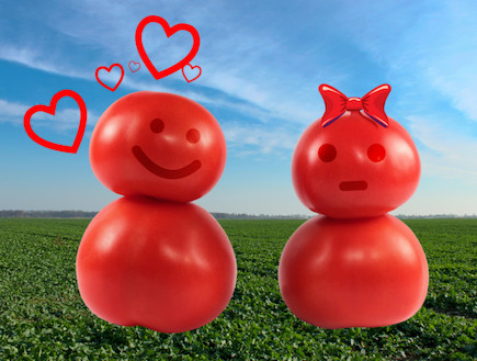 מעשה במלך אחד והרבה צבעים by moria - Ourboox.com