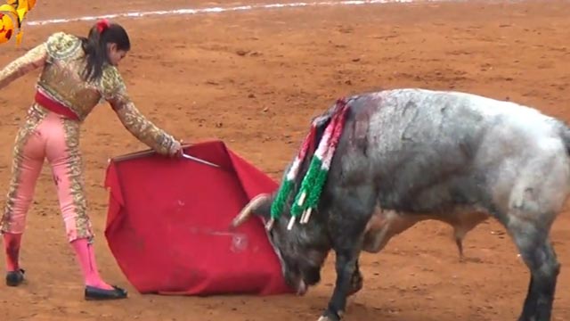 בעלי חיים בטבע by aviv bar - Illustrated by אביב בר - Ourboox.com