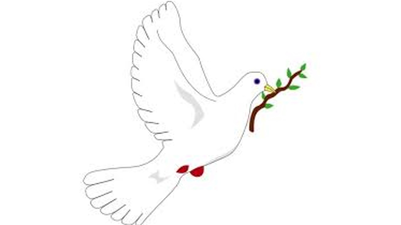 שלום by shaniamado - Ourboox.com