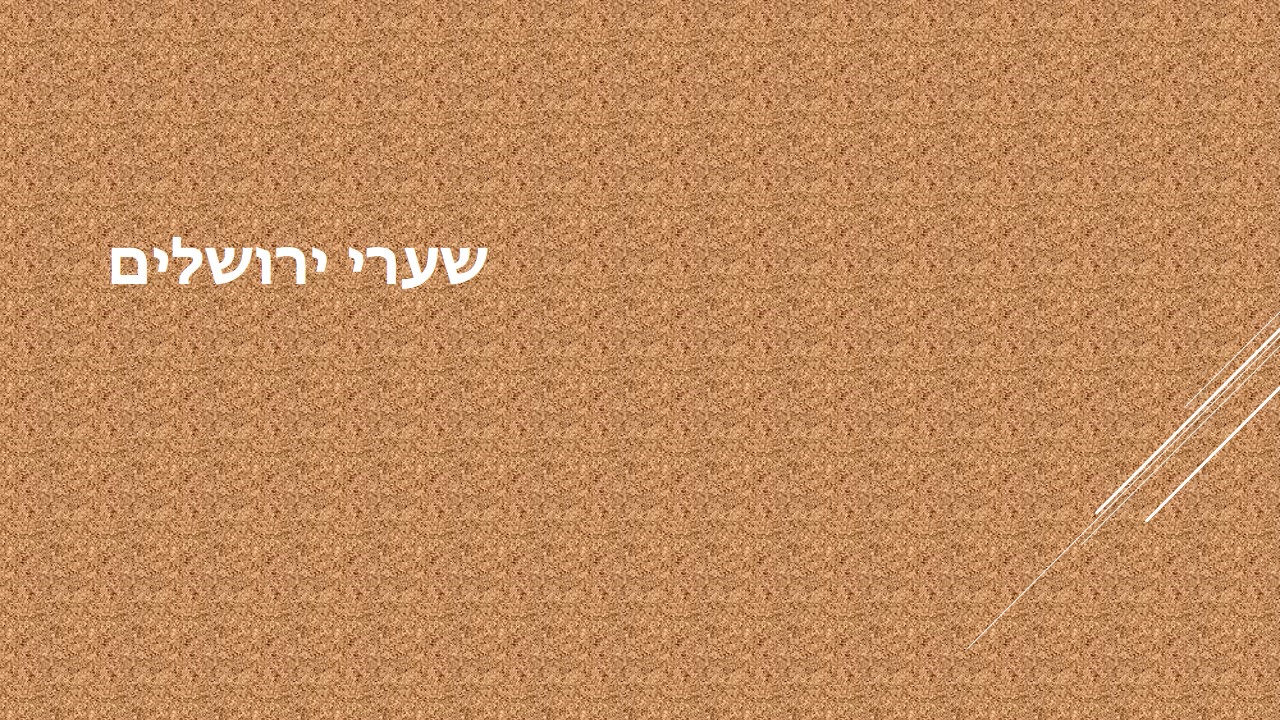 ירושלים שלנו by תלמידי בית ספר חתני פרס נובל, ראשון לציון - Illustrated by הכינו תלמידי כיתה ג