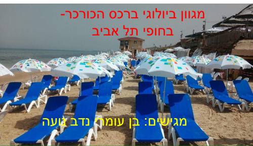 מגוון ביולוגי ברכס הכורכר – חופי תל אביב by chani betzer - Illustrated by בן, נדב, עומרי, נועה - Ourboox.com