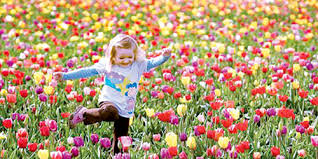 فصل الربيع by ramzya remlawi - Ourboox.com