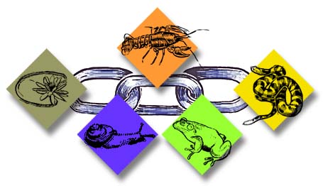 الوسط البيىء by med ali zemni - Ourboox.com