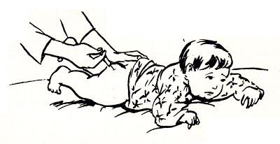 التلاقيح by tasnime mhidi - Ourboox.com