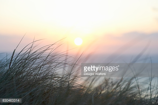 Ben and Dana by Roni - Ourboox.com