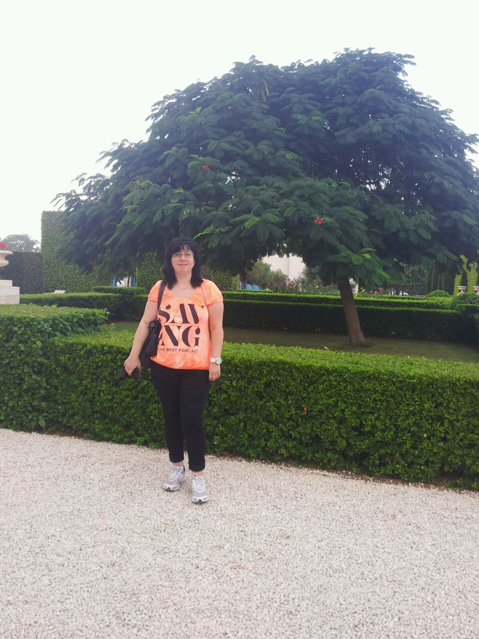 ספר דיגיטלי- עבודת שורשים by amir - Ourboox.com