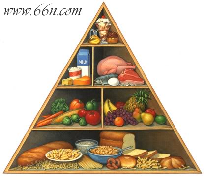 التغذية by jaber felfel - Ourboox.com