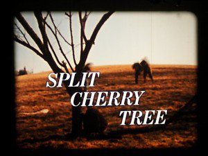 the spilt charry tree by ansam kilany - Ourboox.com