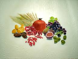 חג שבועות by Idit ben shoshan - Ourboox.com