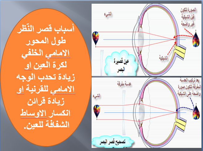 الإيقاظ العلمي : العين by omar louhichi - Illustrated by عمر الوحيشي - Ourboox.com