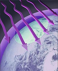 הדלדלות שכבת האוזון by dorit fridman - Ourboox.com