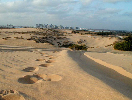 Pesach by Esther - Ourboox.com