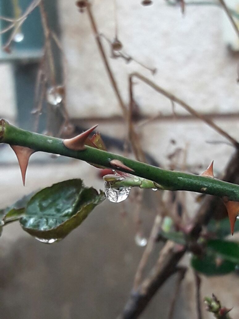 צילום-אמירים חקר earth art by eti akrish - Ourboox.com