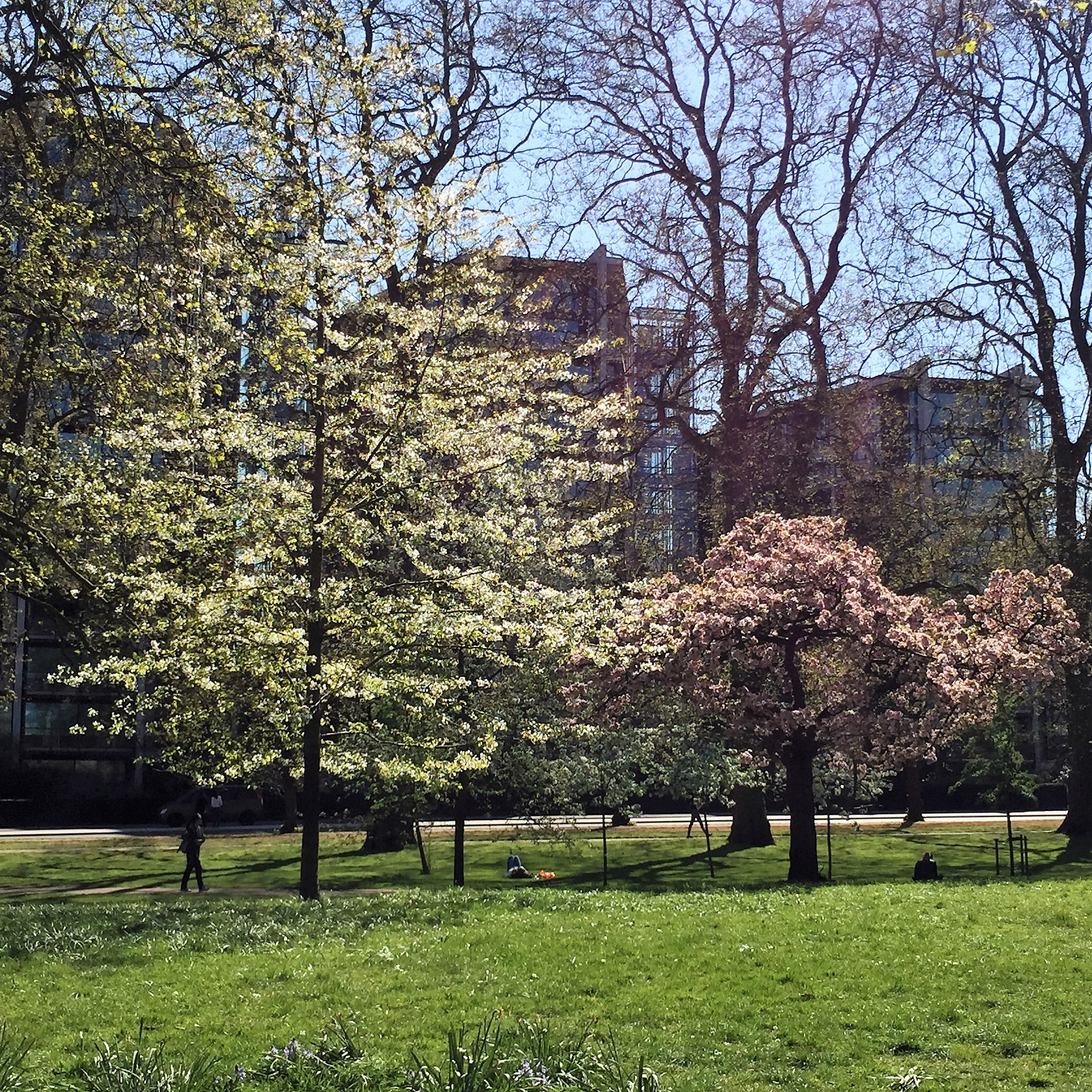 A Day out with Antigoni and George in Sunny London Town by Mel Rosenberg - מל רוזנברג - Ourboox.com