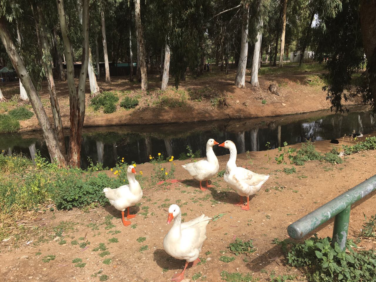 Arielle and Grandpa Mel Go to Kanyon Ayalon by Mel Rosenberg - מל רוזנברג - Ourboox.com