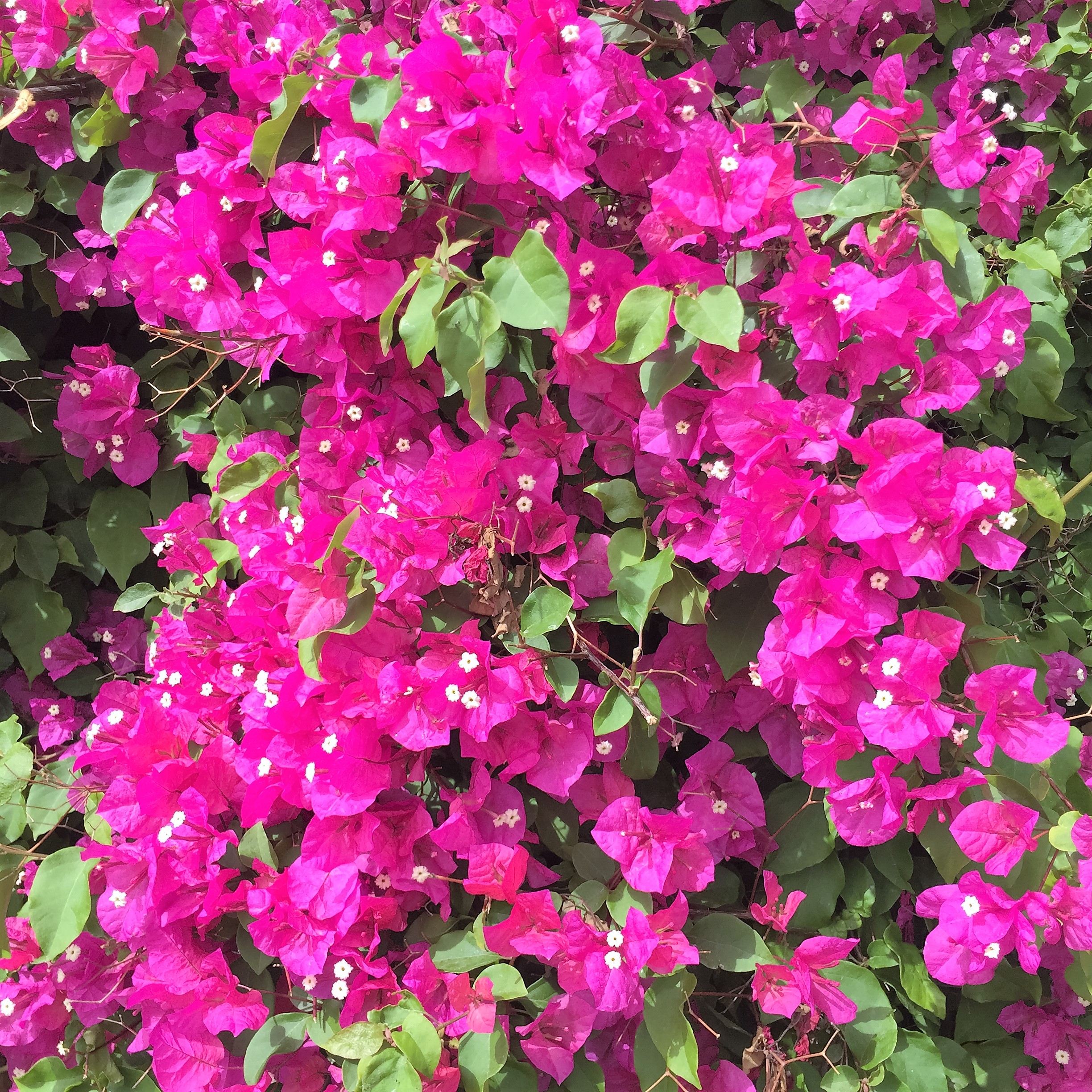 Arielle and Grandpa Mel Go to Kanyon Ayalon by Mel Rosenberg - מל רוזנברג - Ourboox.com