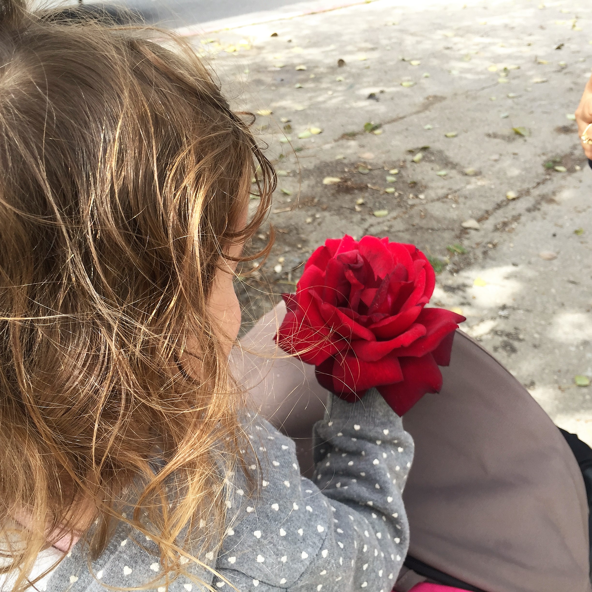 Arielle and Grandpa Mel Go to Kanyon Ayalon by Mel Rosenberg - מל רוזנברג - Ourboox.com