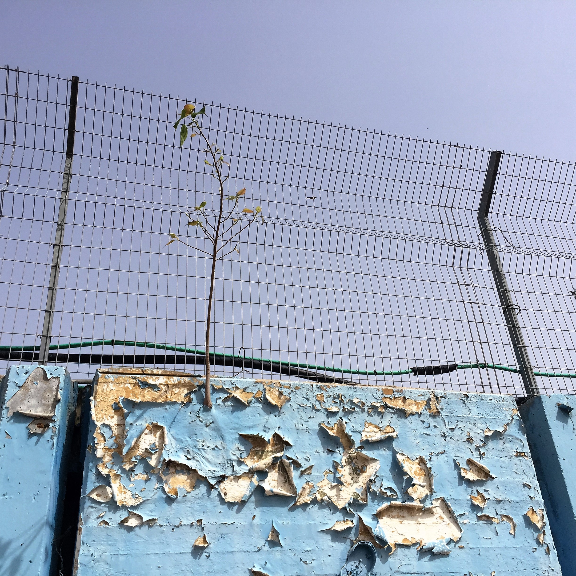 Arielle and Grandpa Mel Go to Kanyon Ayalon by Mel Rosenberg - מל רוזנברג - Ourboox.com