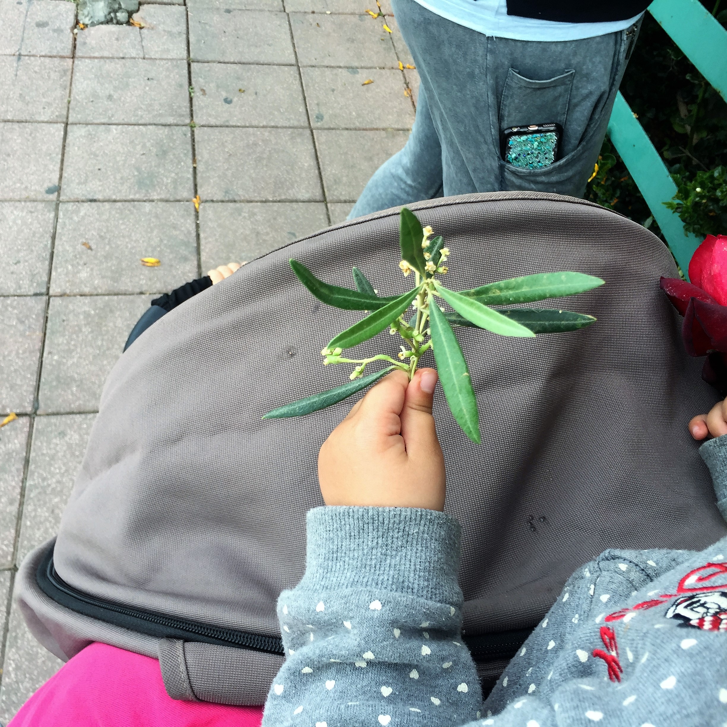 Arielle and Grandpa Mel Go to Kanyon Ayalon by Mel Rosenberg - מל רוזנברג - Ourboox.com