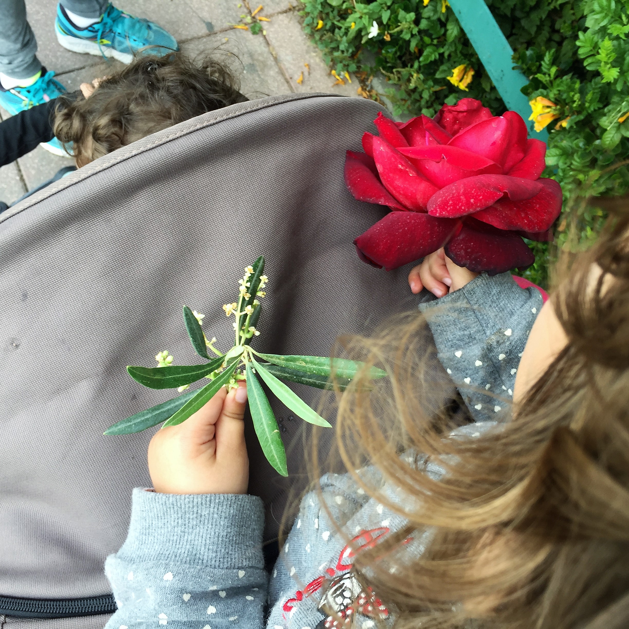 Arielle and Grandpa Mel Go to Kanyon Ayalon by Mel Rosenberg - מל רוזנברג - Ourboox.com