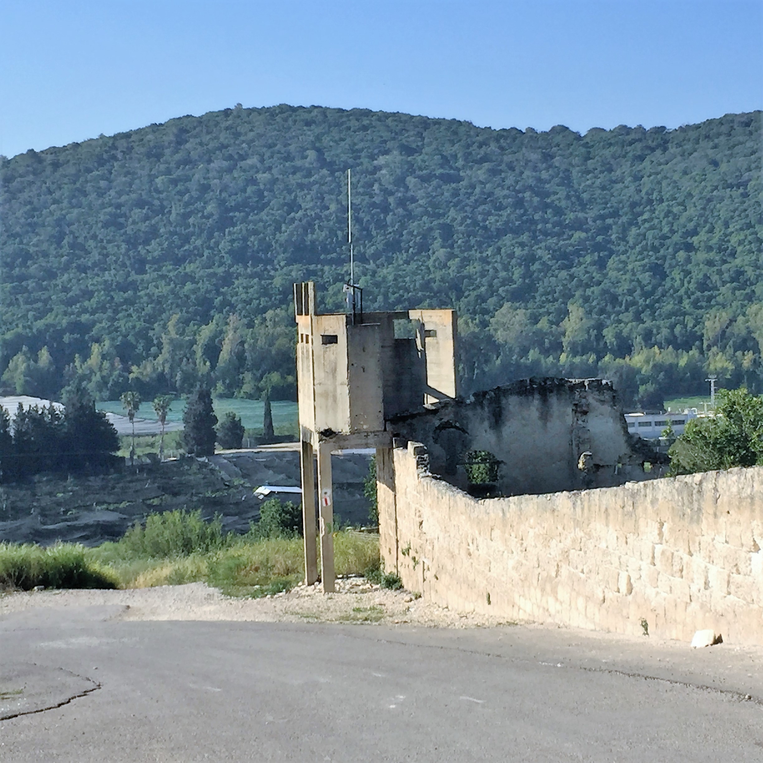 Say Cheese, Goat Cheese – Breakfast in Bat Shlomo by Mel Rosenberg - מל רוזנברג - Ourboox.com