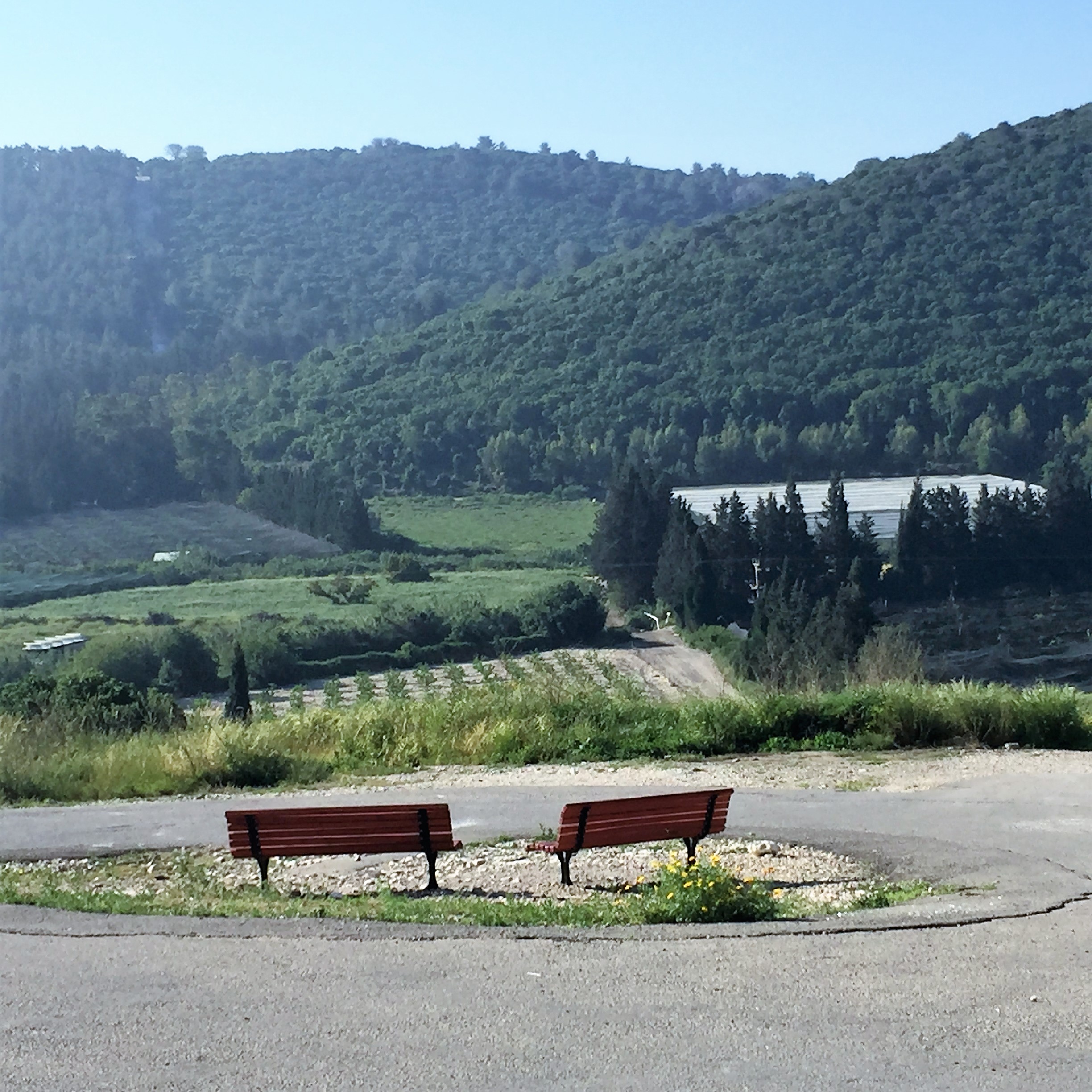 Say Cheese, Goat Cheese – Breakfast in Bat Shlomo by Mel Rosenberg - מל רוזנברג - Ourboox.com