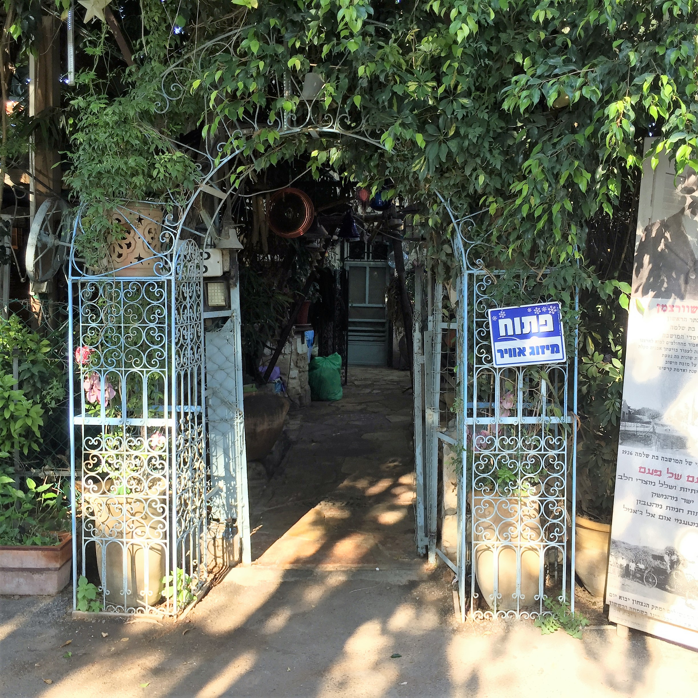 Say Cheese, Goat Cheese – Breakfast in Bat Shlomo by Mel Rosenberg - מל רוזנברג - Ourboox.com