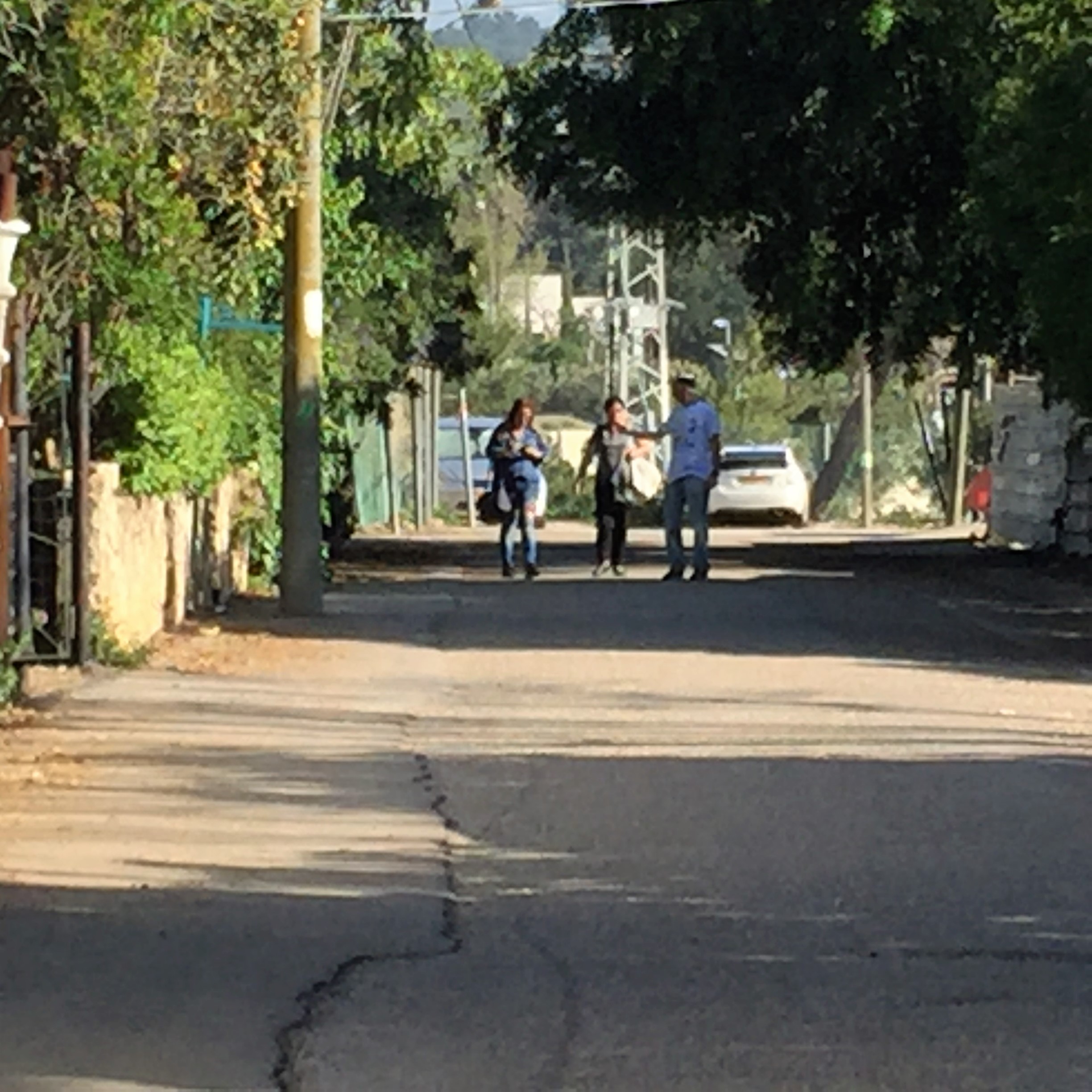 Say Cheese, Goat Cheese – Breakfast in Bat Shlomo by Mel Rosenberg - מל רוזנברג - Ourboox.com