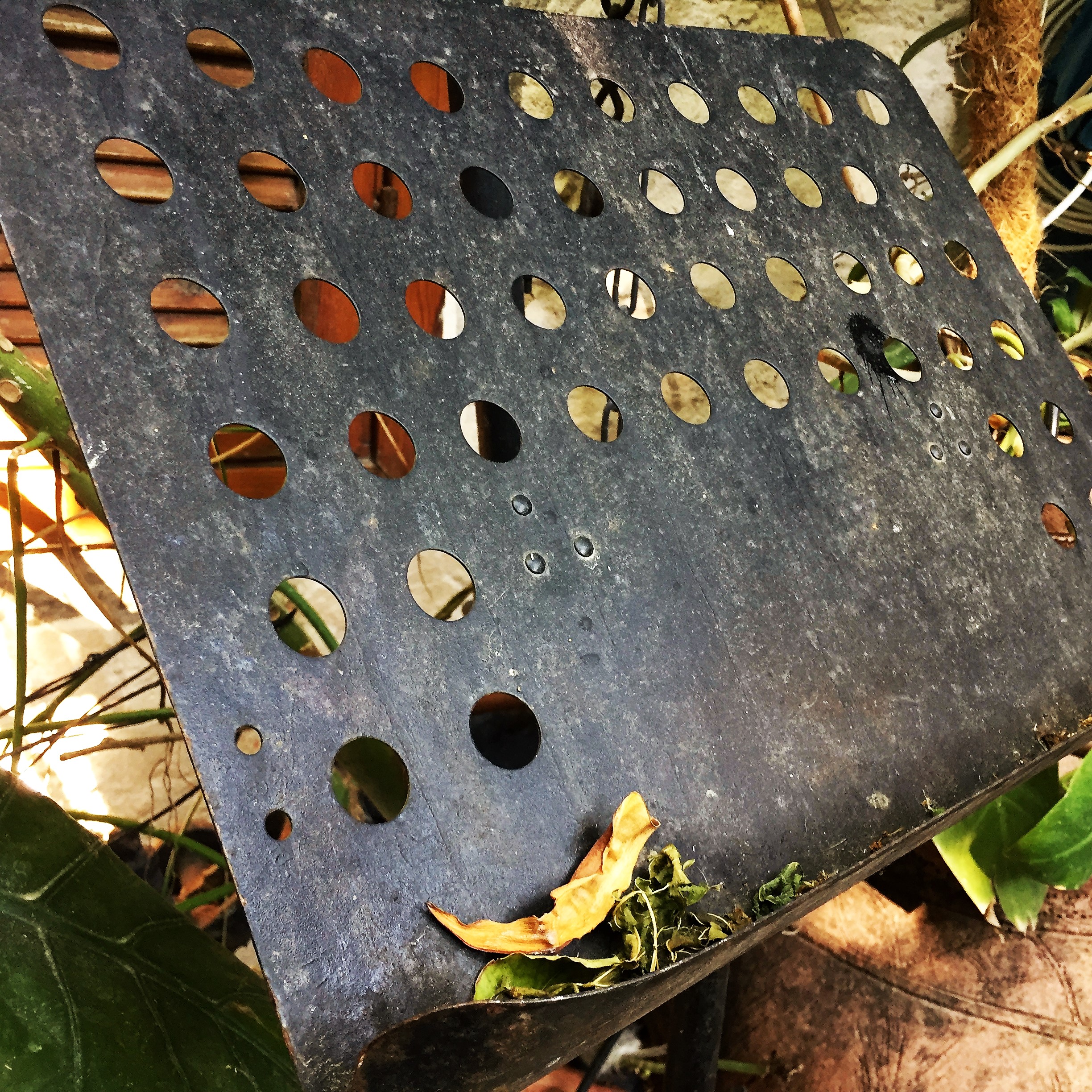 Say Cheese, Goat Cheese – Breakfast in Bat Shlomo by Mel Rosenberg - מל רוזנברג - Ourboox.com