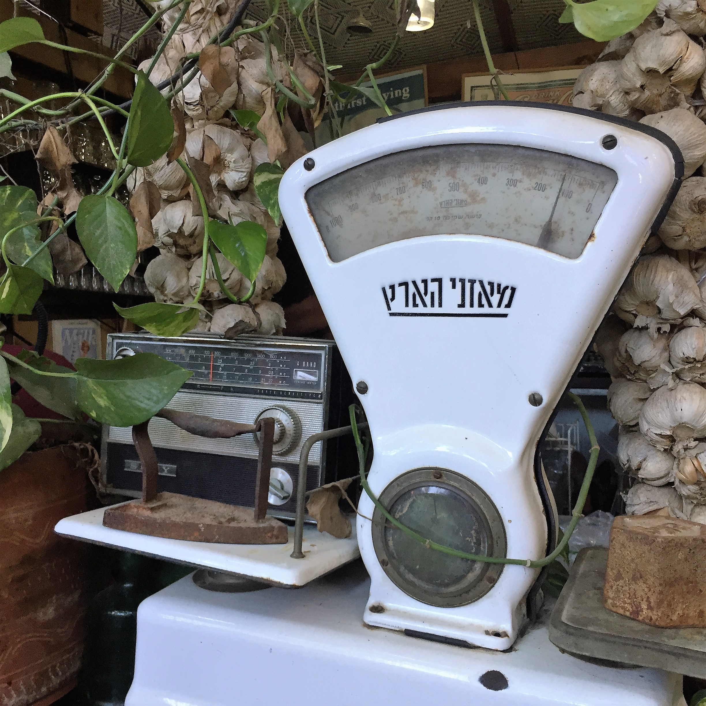 Say Cheese, Goat Cheese – Breakfast in Bat Shlomo by Mel Rosenberg - מל רוזנברג - Ourboox.com