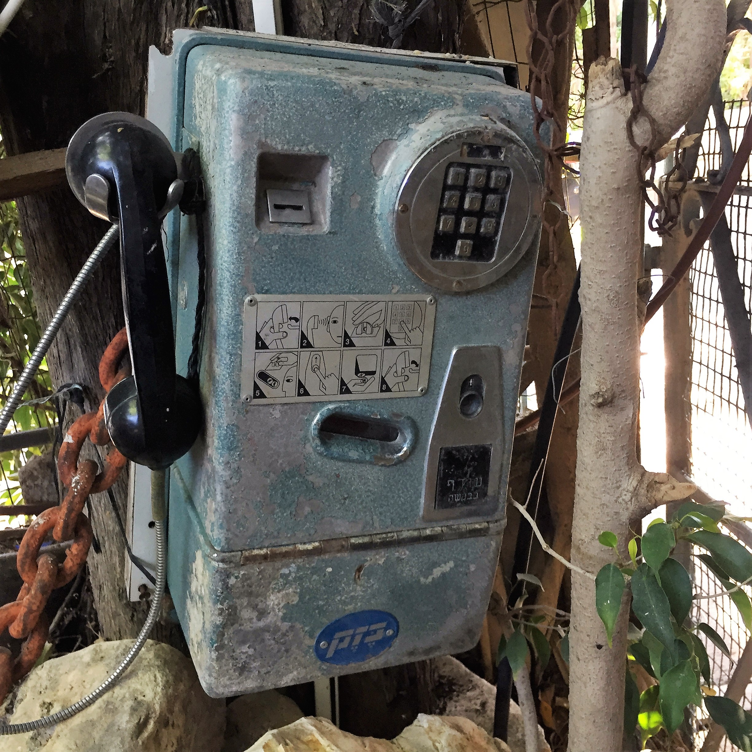 Say Cheese, Goat Cheese – Breakfast in Bat Shlomo by Mel Rosenberg - מל רוזנברג - Ourboox.com