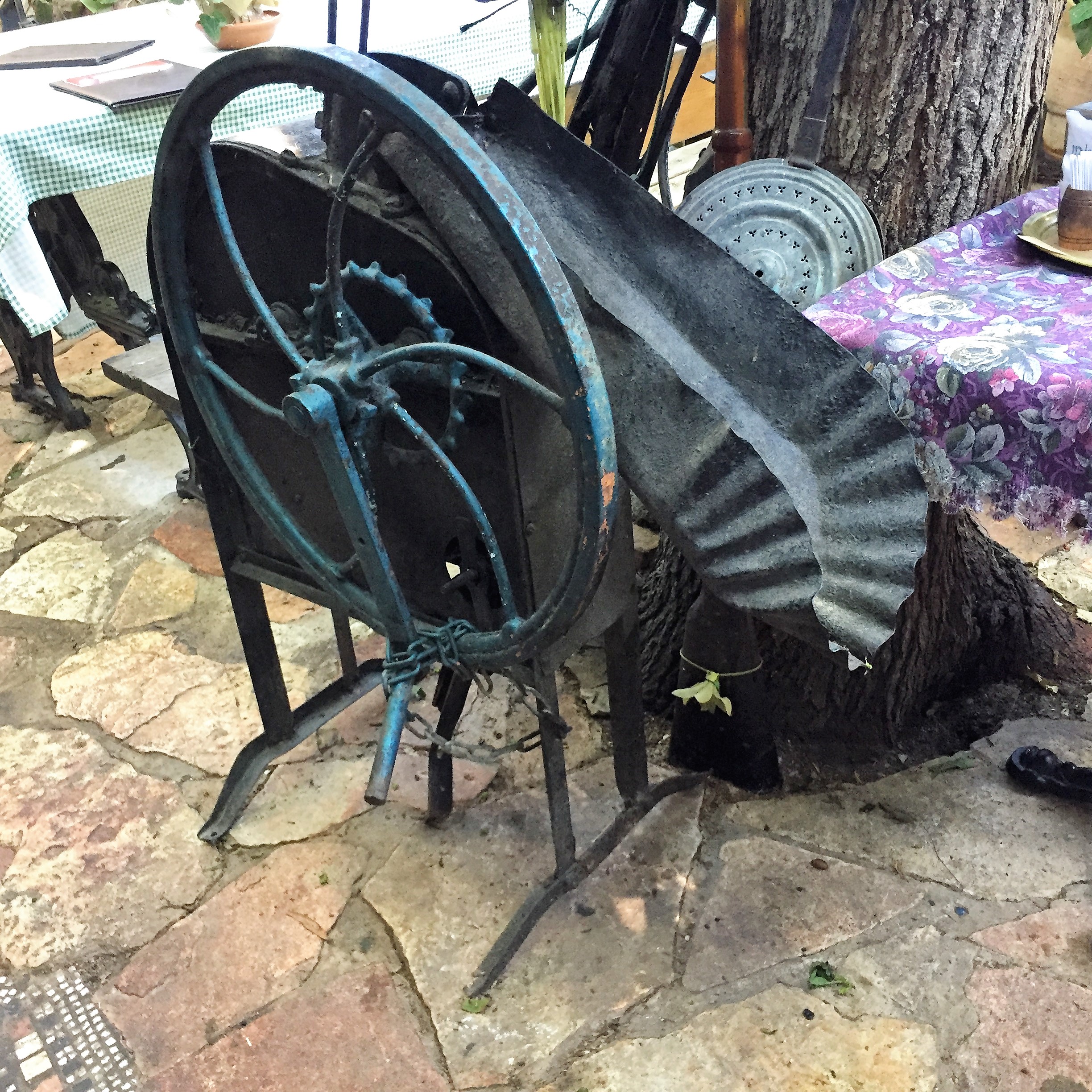 Say Cheese, Goat Cheese – Breakfast in Bat Shlomo by Mel Rosenberg - מל רוזנברג - Ourboox.com