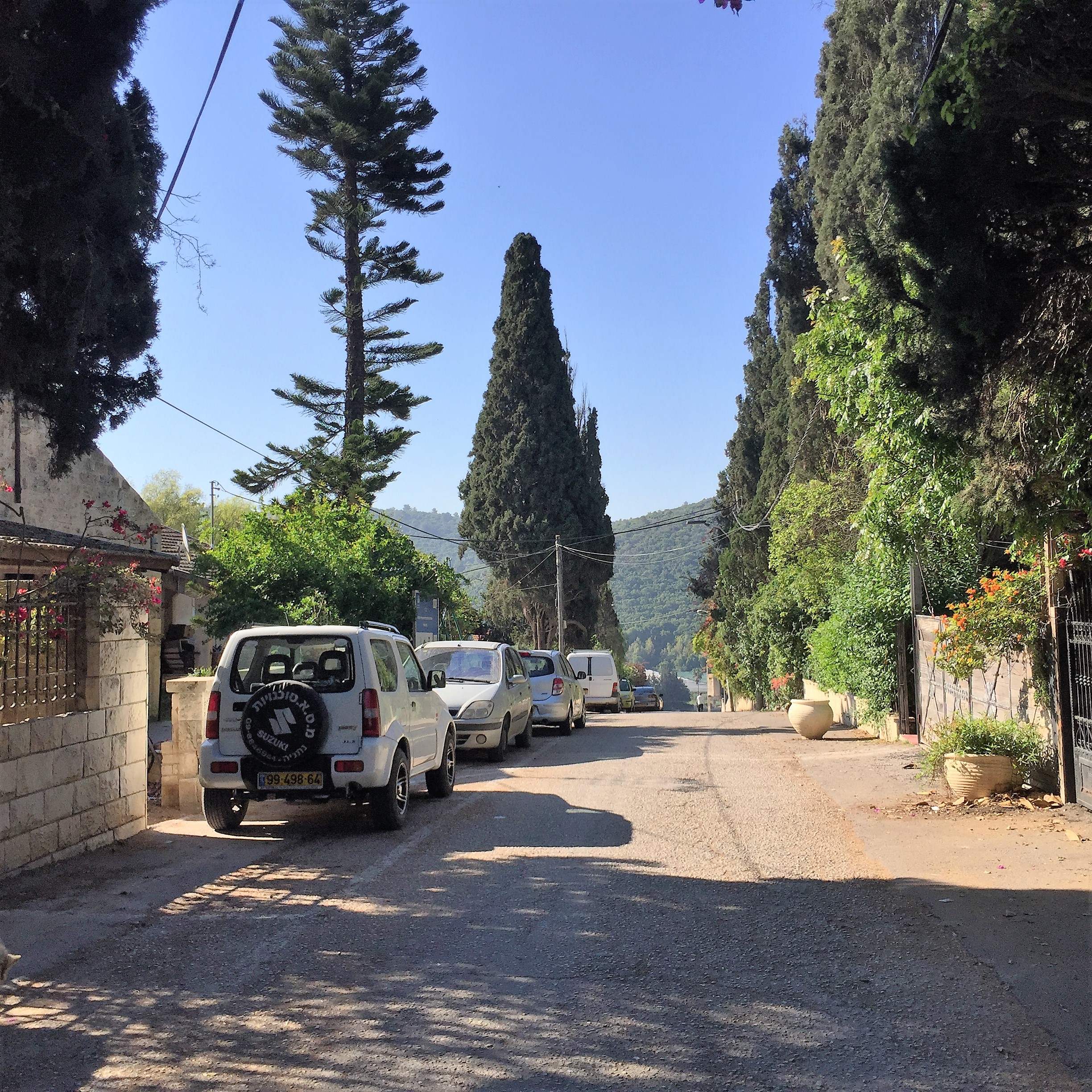 Say Cheese, Goat Cheese – Breakfast in Bat Shlomo by Mel Rosenberg - מל רוזנברג - Ourboox.com