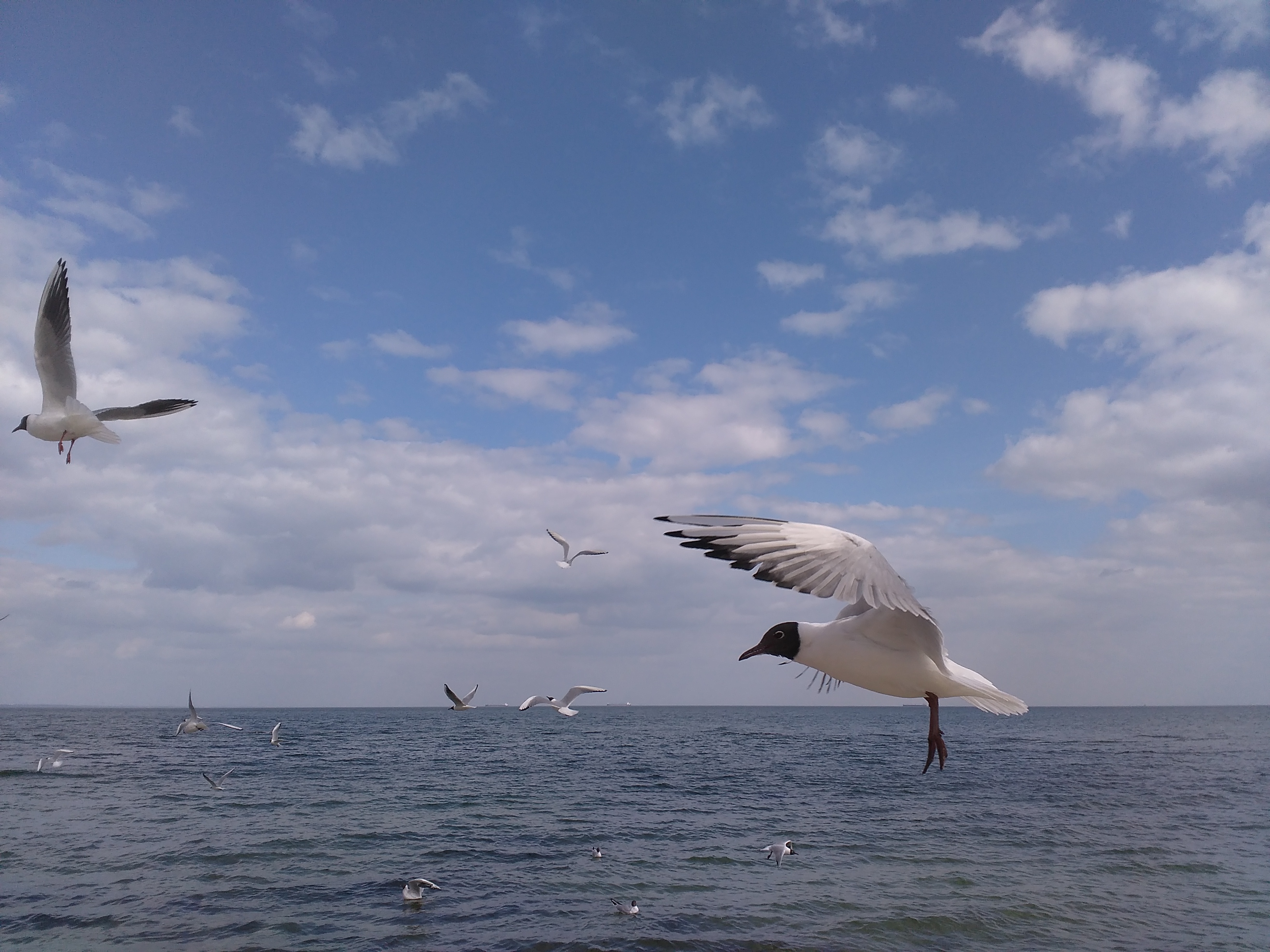 Вірші про пори року by Irina - Illustrated by Вірші - Ourboox.com