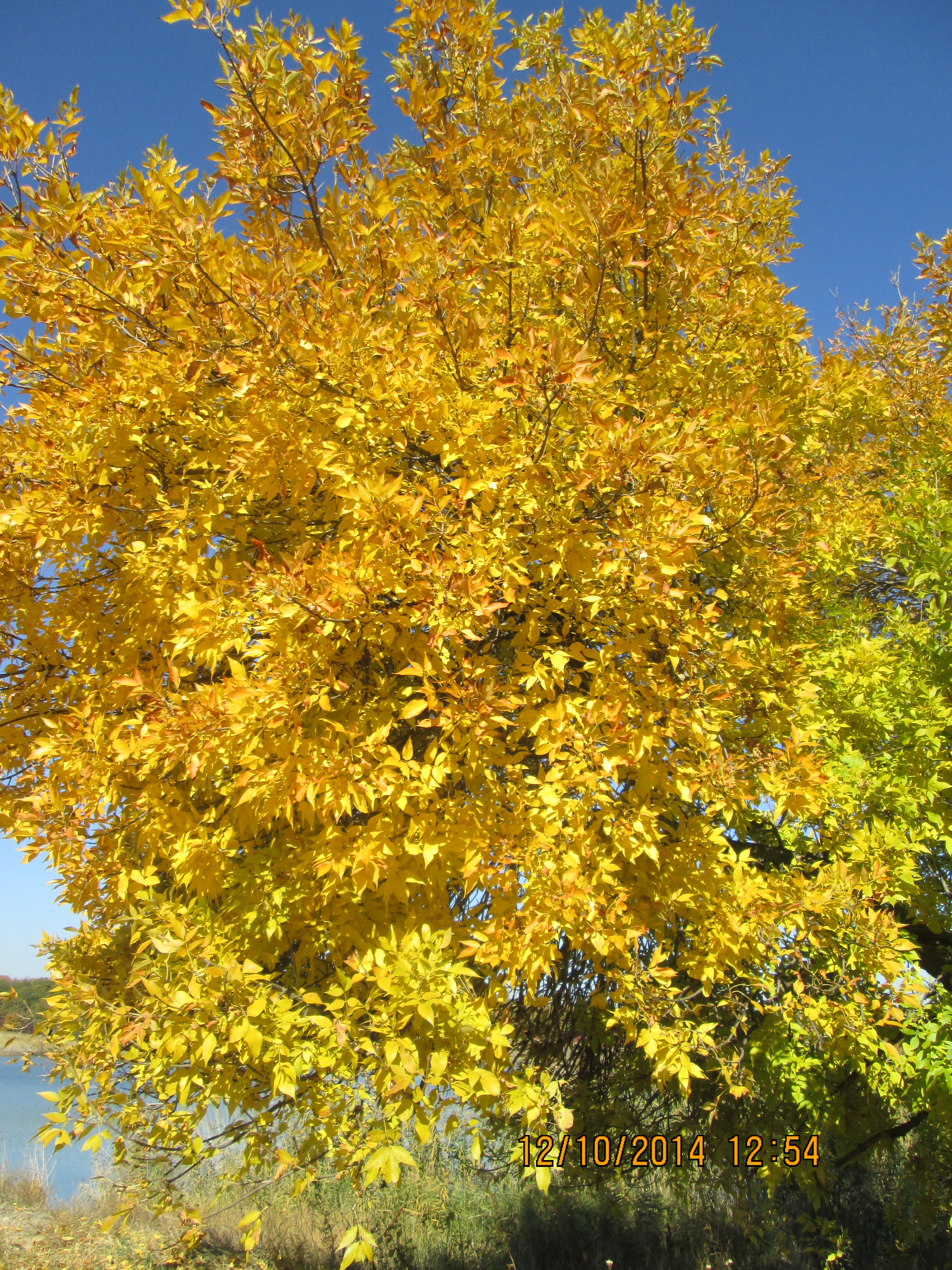 Вірші про пори року by Irina - Illustrated by Вірші - Ourboox.com