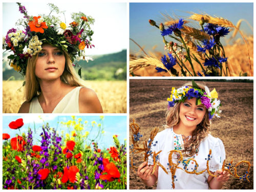 Український віночок by Oleksandr Bakal - Illustrated by електронна книга - Ourboox.com