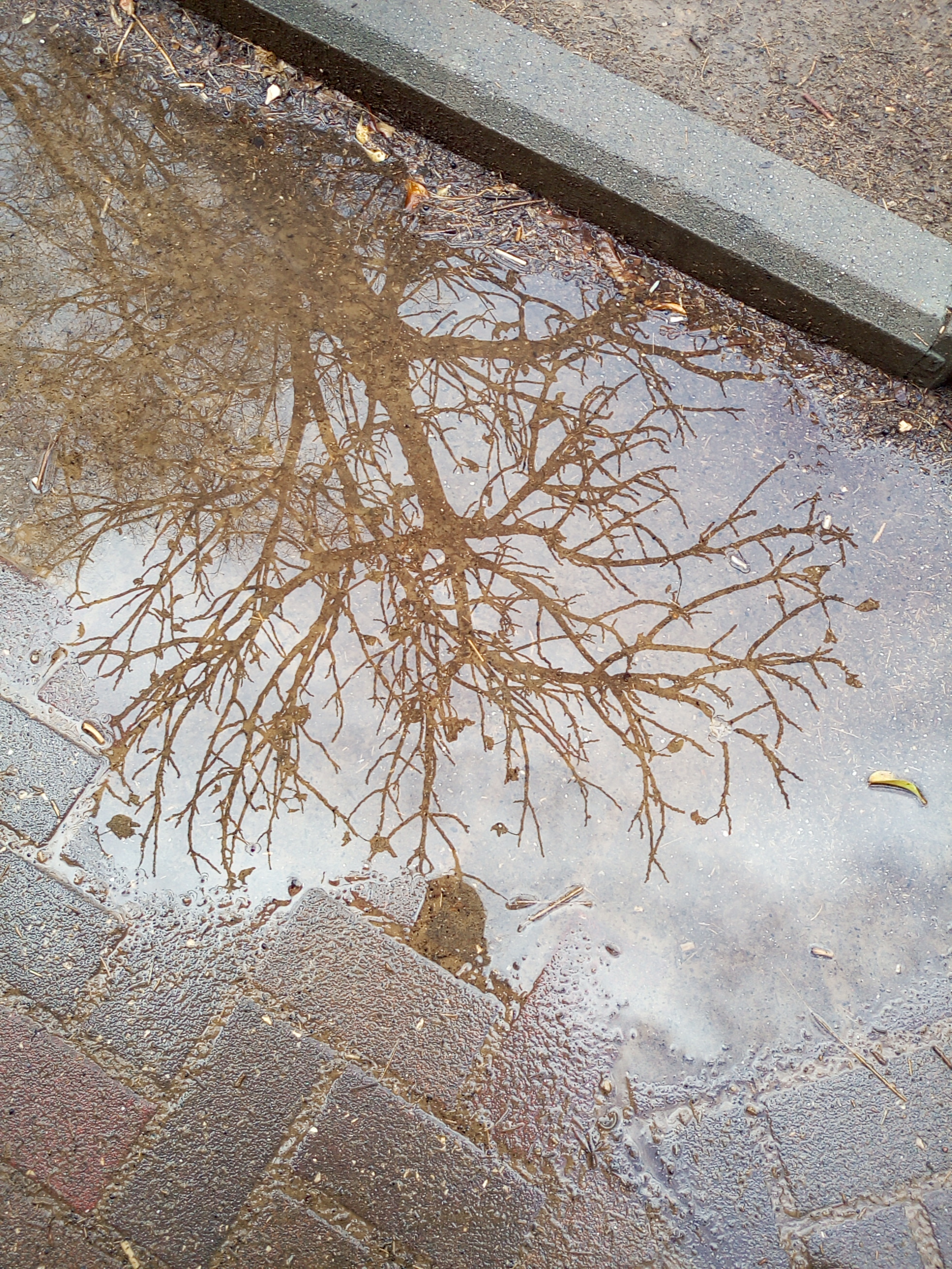 צילום-אמירים חקר earth art by eti akrish - Ourboox.com