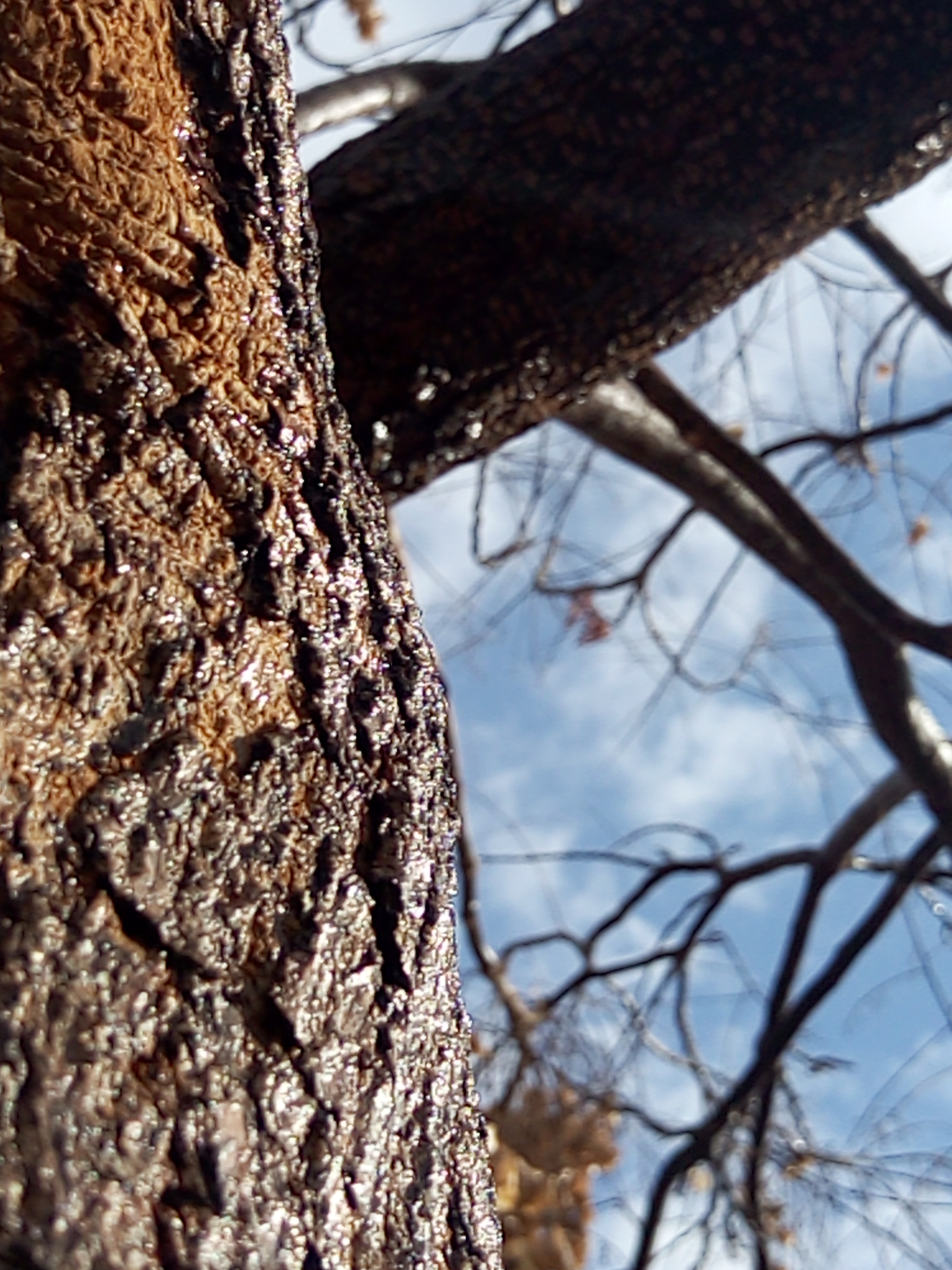 צילום-אמירים חקר earth art by eti akrish - Ourboox.com