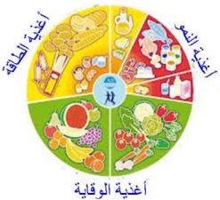 التغذية by jaber felfel - Ourboox.com