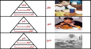 التغذية by jaber felfel - Ourboox.com