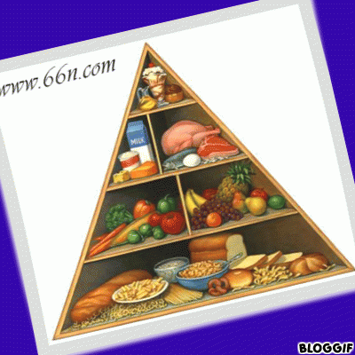 التغذية by jaber felfel - Ourboox.com