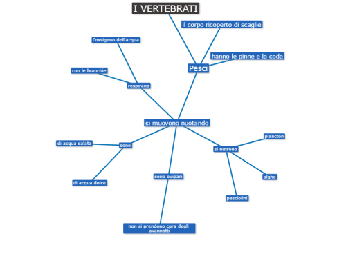 i mammiferi by maestrapinuccia - Ourboox.com
