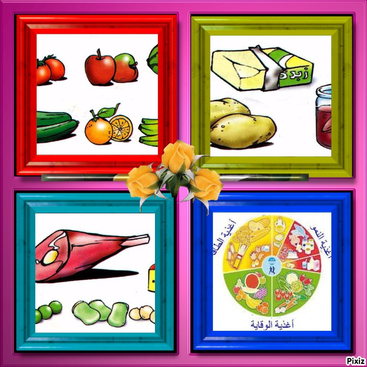 التغذية by jaber felfel - Ourboox.com