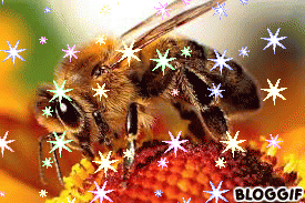 التكاثر الزهري by roua soyeh - Ourboox.com