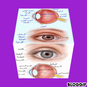 Mohamed chelbi by mohamed chelbi - Ourboox.com