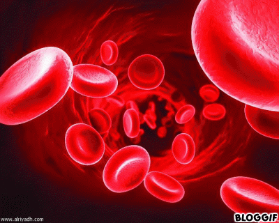 جهاز دوران الدم by ayoub - Ourboox.com