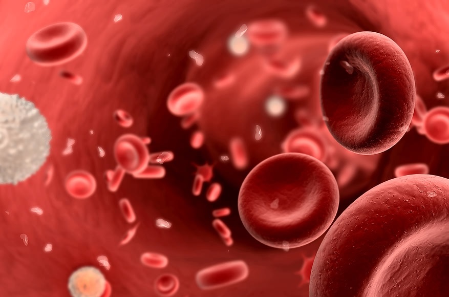 جهاز النقل by magda - Illustrated by ماجدة زيدان + هدى عمر + نجوان غره +فدوى زيدان - Ourboox.com