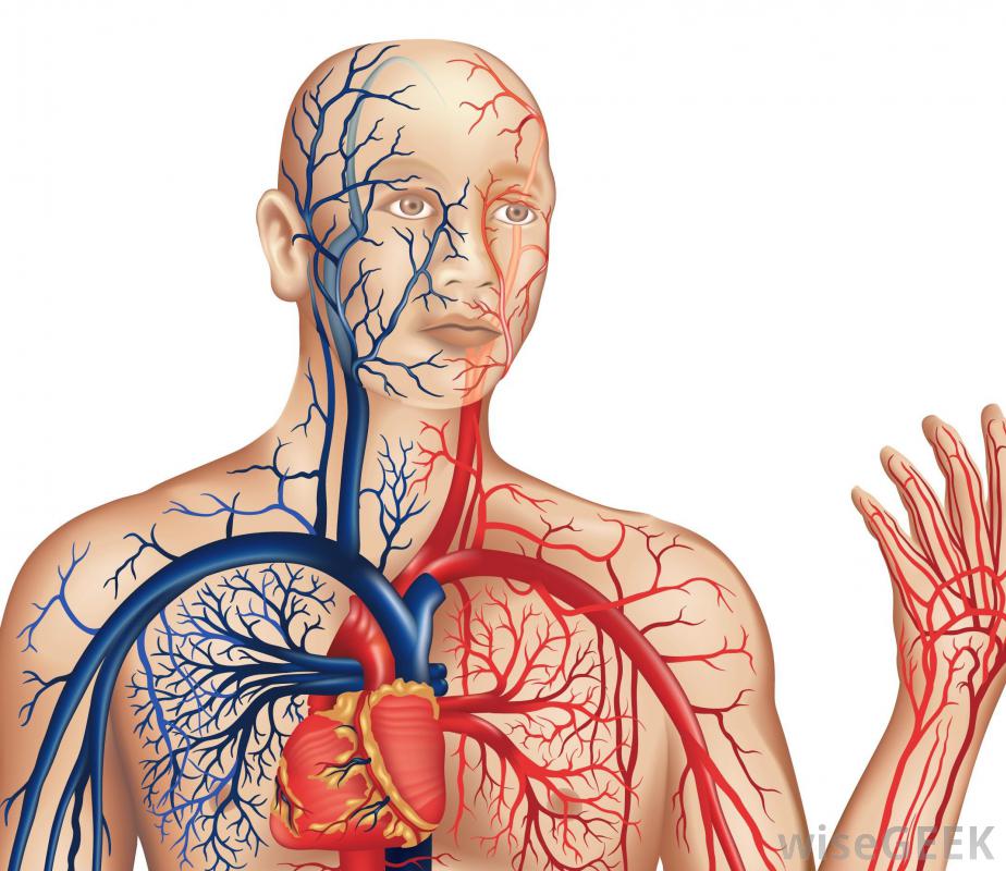 جهاز النقل by magda - Illustrated by ماجدة زيدان + هدى عمر + نجوان غره +فدوى زيدان - Ourboox.com