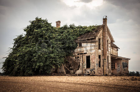 EL HONESTO LEÑADOR by jimena burgos - Illustrated by Jimena Burgos - Ourboox.com